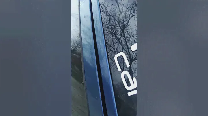 Machete Sport M12D2